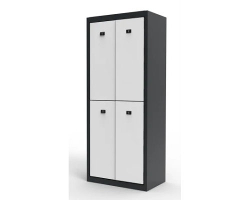 Система шкафчиков Vildis Locker D4-400
