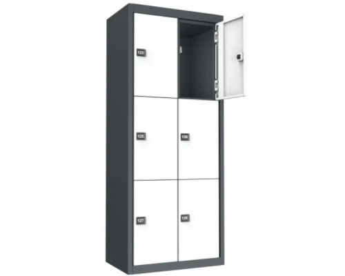 Система шкафчиков Vildis Locker D6-400